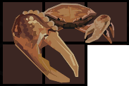 Fiddler Crab Inventory.png