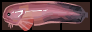 Snailfish Inventory.png