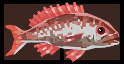 Red Snapper Inventory.png