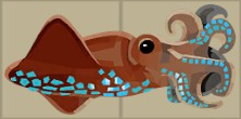 Firefly Squid.png
