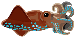 Firefly Squid Image.png