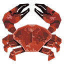 Common Crab Image.png