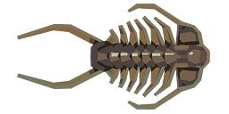 Trilobite Image.png