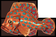 Coral Grouper Inventory.png