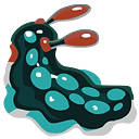 Sea Slug Image.png