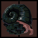 Volcano Snail Inventory.png