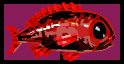 Blood Snapper Inventory.png