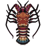 Spiny Lobster Image.png