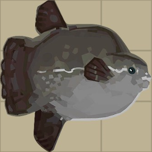 Ocean Sunfish.png