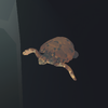 Loggerhead Turtle.png