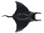 Devil Ray Image.png
