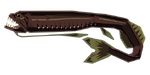 Giant Dragonfish Image.png