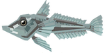 Icefish Image.png