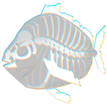 Skeletal Moonfish Image.png