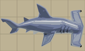 Hammerhead Shark.png