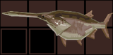 Paddlefish Inventory.png