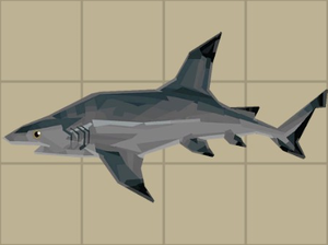 Blacktip Reef Shark.png