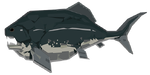 Dunkleosteus Image.png