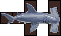 Hammerhead Shark Inventory.png