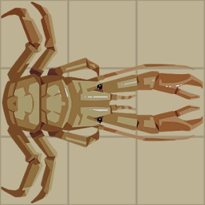 Squat Lobster.png