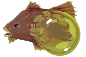 Bulbous Toothfish Image.png