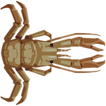 Squat Lobster Image.png