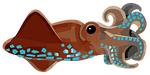 Firefly Squid Image.png