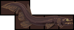 Frilled Shark Inventory.png