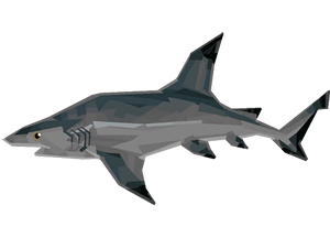 Blacktip Reef Shark Image.png