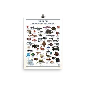 Poster-FishSpecies.jpg