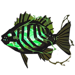 Voltaic Grouper Image.png