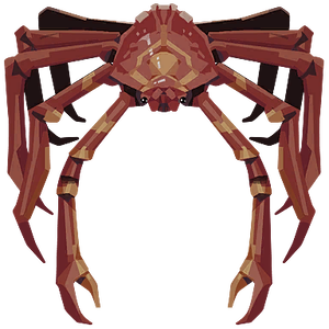 Spider Crab Image.png